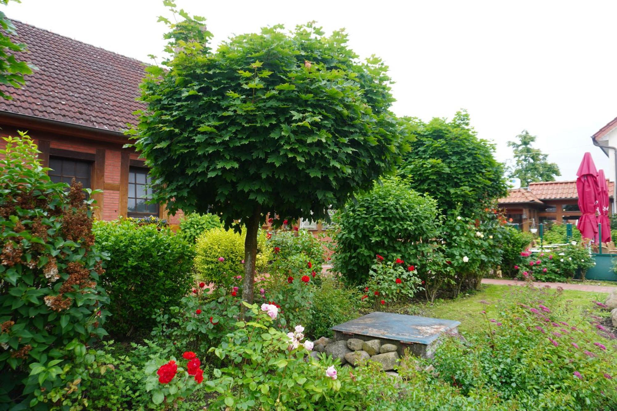 Feriendorf an der Ostsee Wohlenberg Exterior foto
